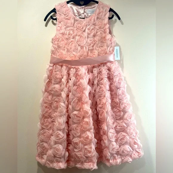 Gymboree Pink Rosette Formal Dress